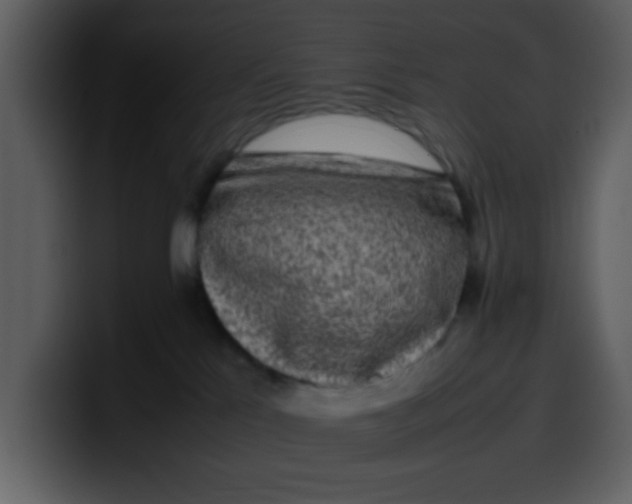 X0000100340041200806191034