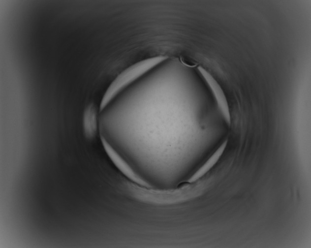 X0000100340042200806191033