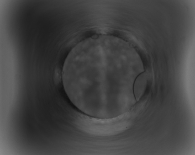 X0000100340043200806191033