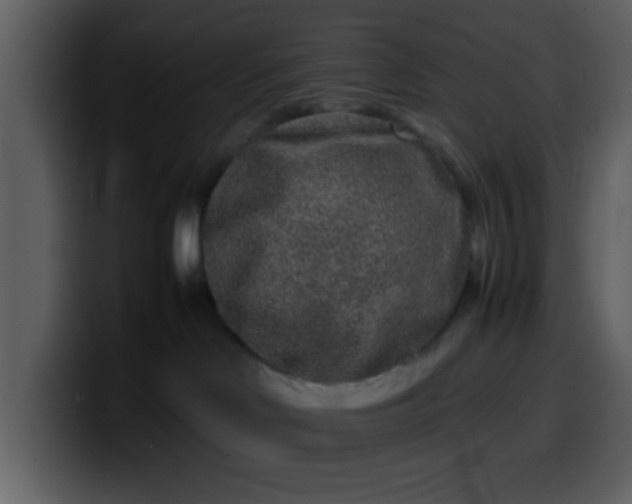 X0000100340046200806191033