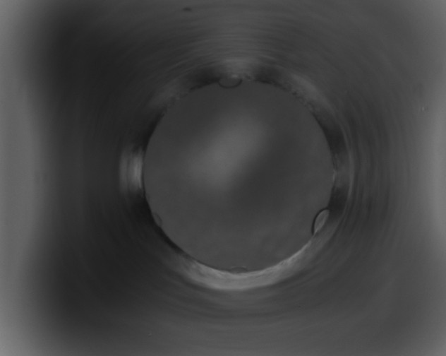 X0000100340047200806191033