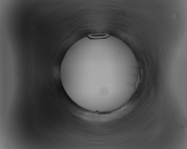 X0000100340048200806191033