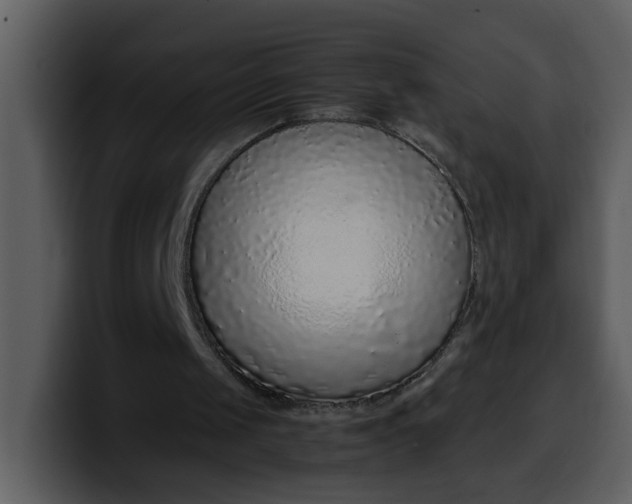 X0000100340049200806191033