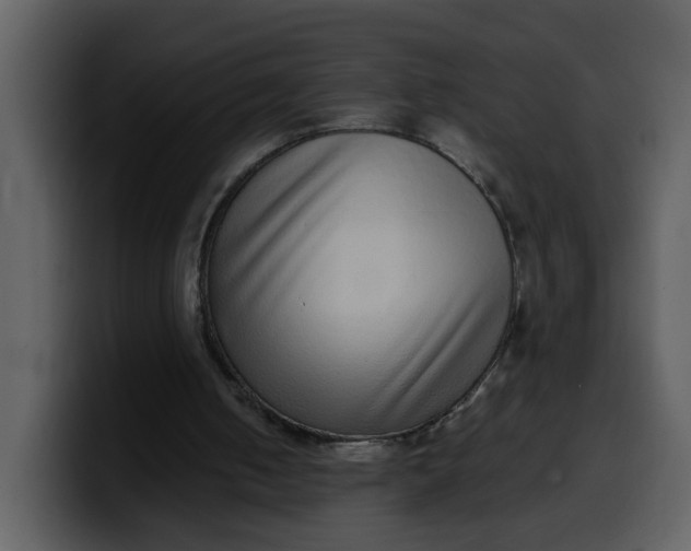 X0000100340050200806191033