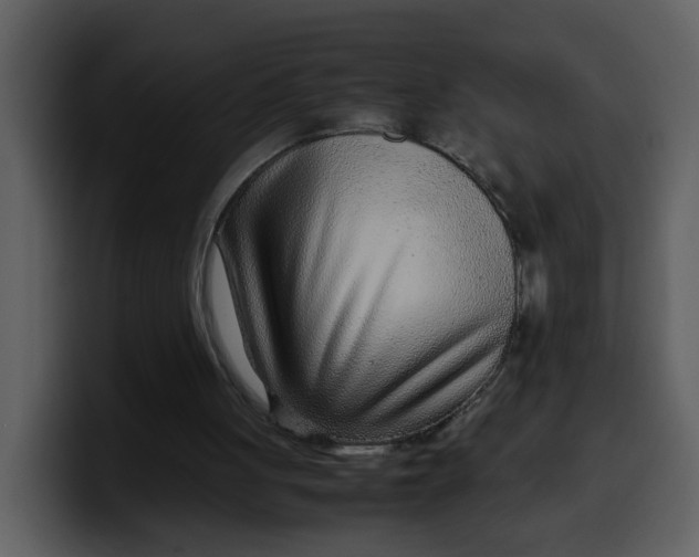 X0000100340051200806191033