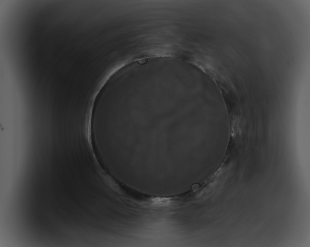 X0000100340052200806191033