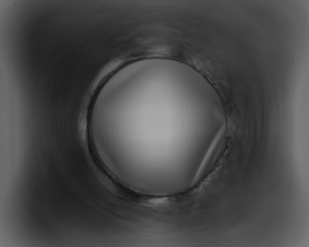 X0000100340054200806191033