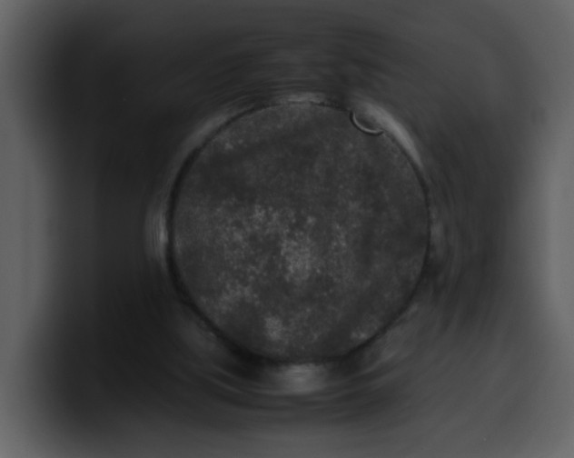 X0000100340059200806191033