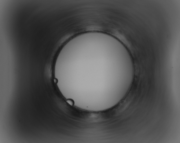 X0000100340060200806191033