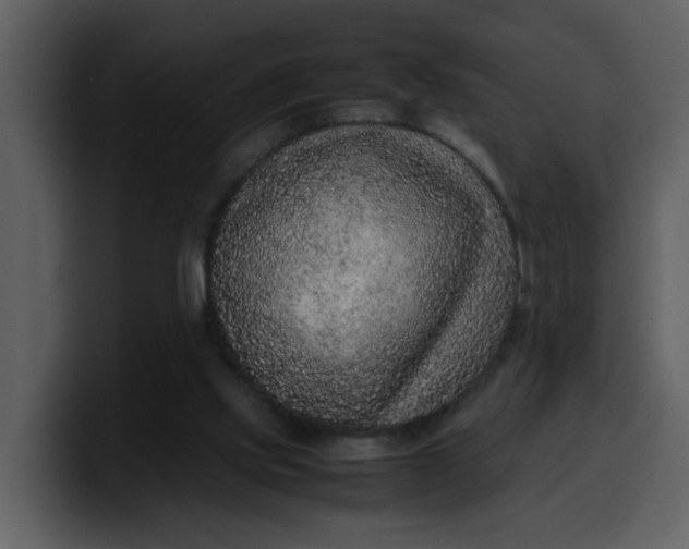 X0000100340061200806191033