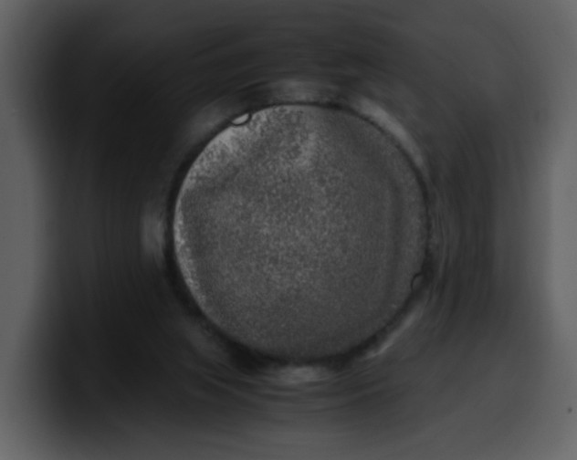 X0000100340063200806191033