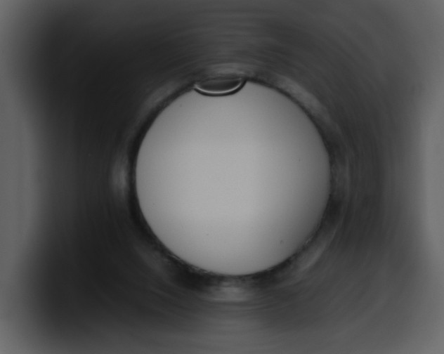 X0000100340064200806191033