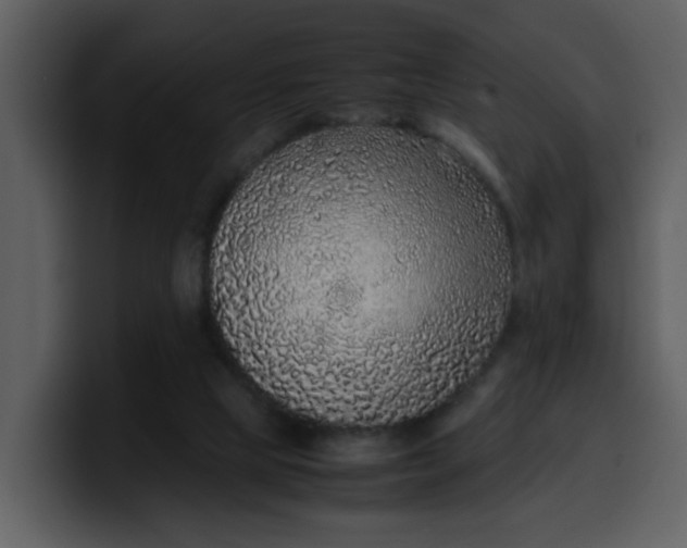 X0000100340065200806191033