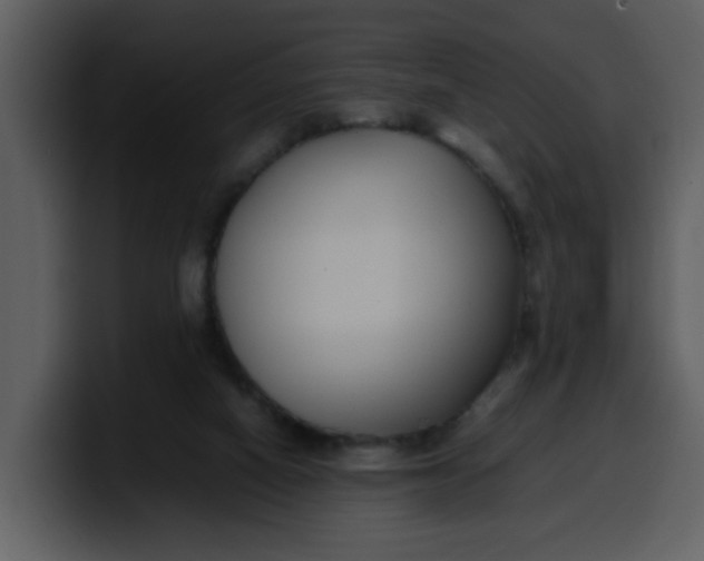 X0000100340066200806191033