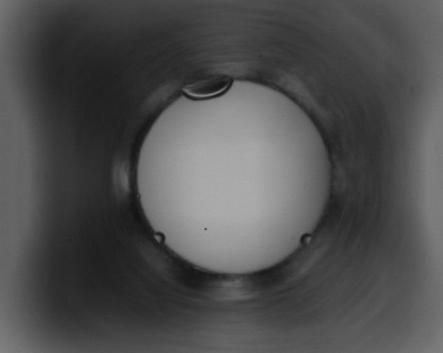 X0000100340068200806191033