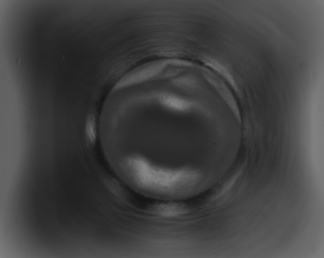 X0000100340069200806191033