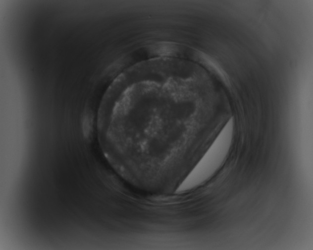 X0000100340073200806191033