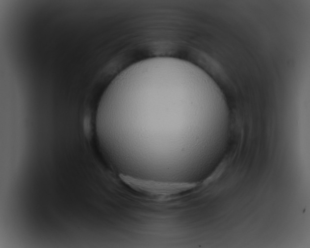 X0000100340074200806191033