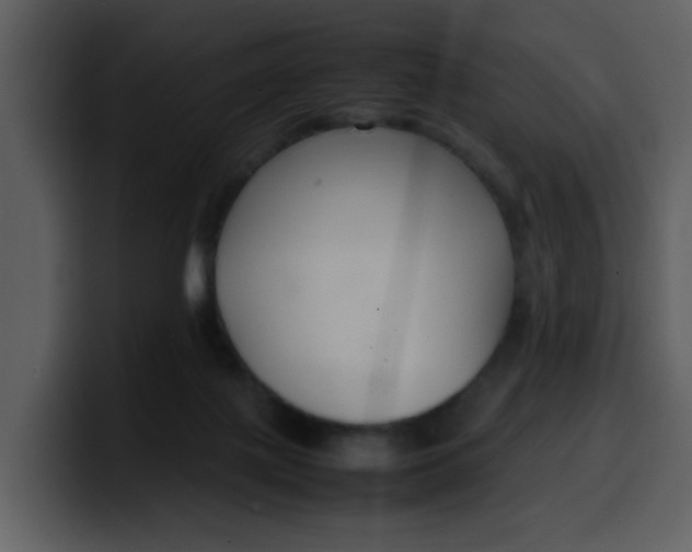 X0000100340075200806191033