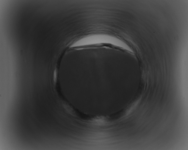 X0000100340076200806191033