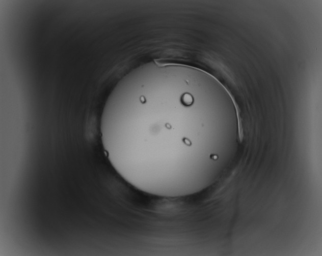 X0000100340077200806191033