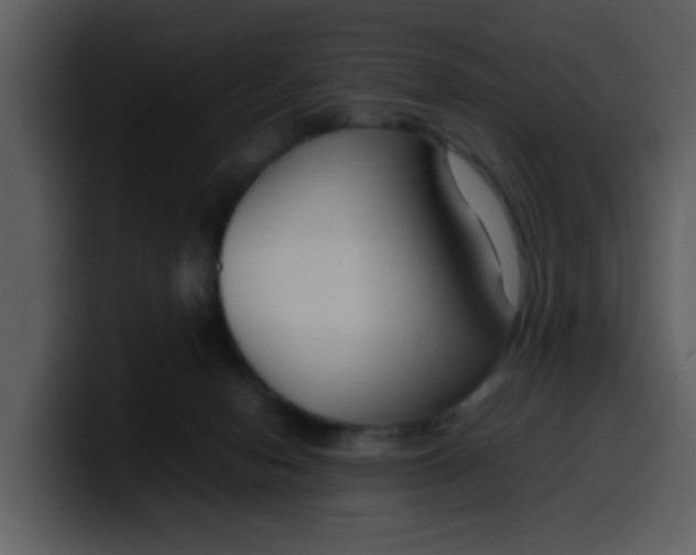 X0000100340078200806191033