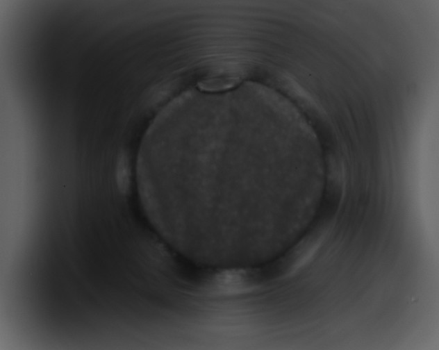 X0000100340080200806191033