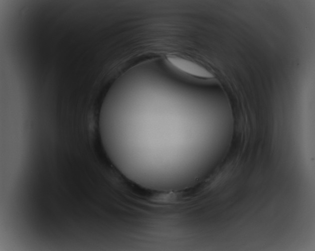 X0000100340084200806191033