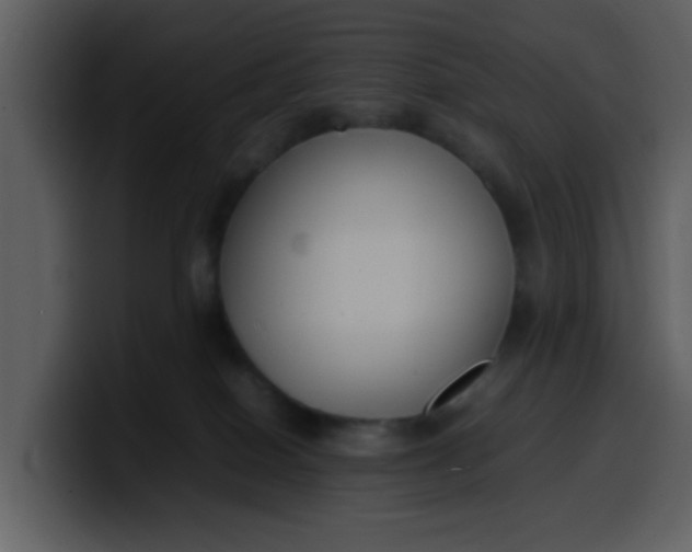 X0000100340086200806191033