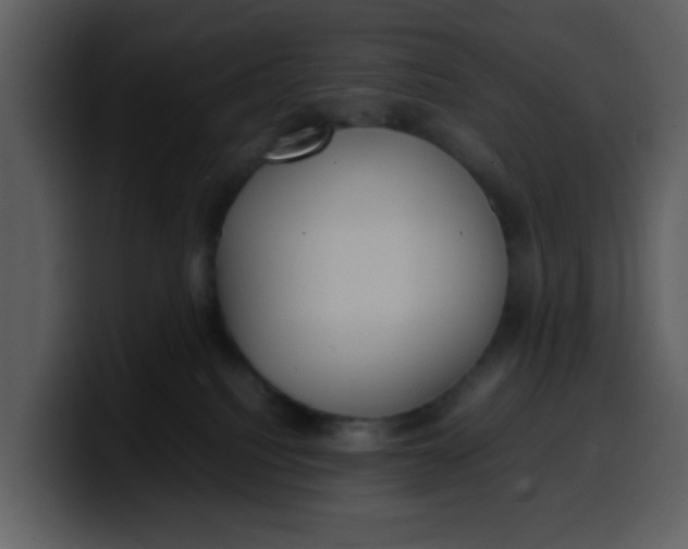 X0000100340088200806191033