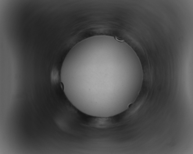 X0000100340089200806191033