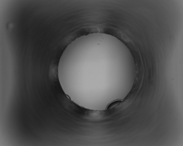 X0000100340096200806191033