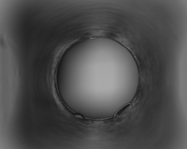 X0000100340097200806191033