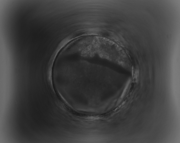 X0000100340099200806191033