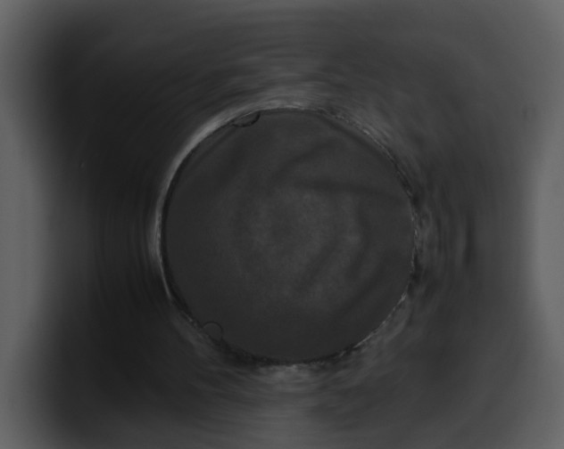 X0000100340100200806191033