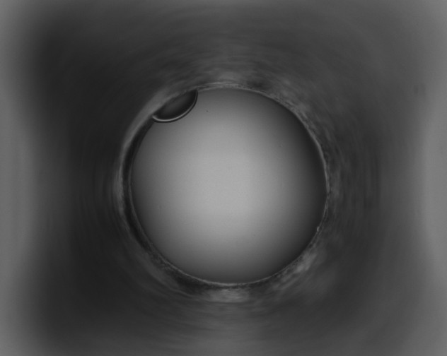 X0000100340102200806191033