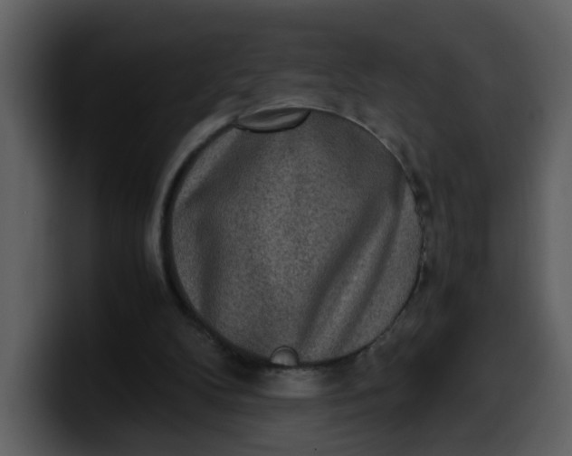 X0000100340104200806191033