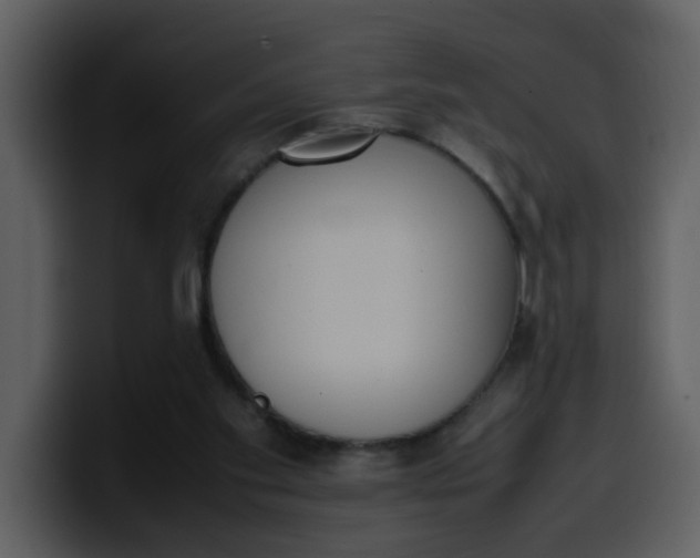 X0000100340109200806191032