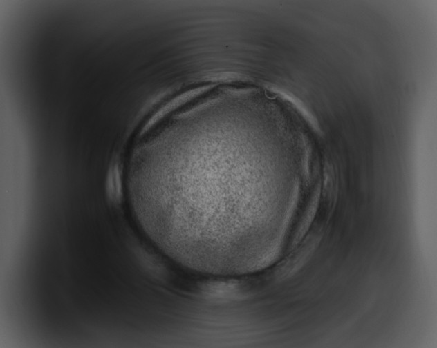 X0000100340110200806191032