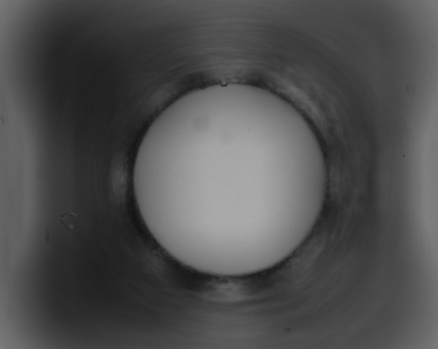 X0000100340113200806191032