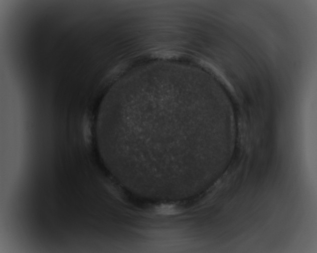 X0000100340114200806191032