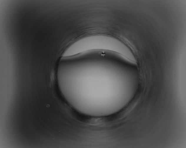 X0000100340117200806191032