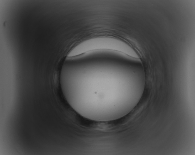 X0000100340121200806191032