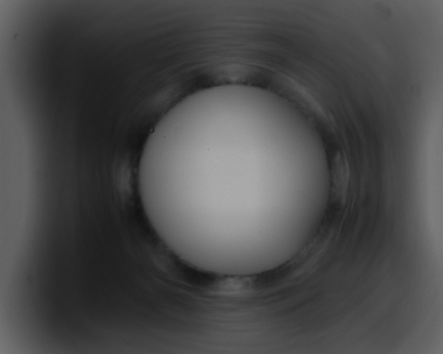 X0000100340126200806191032