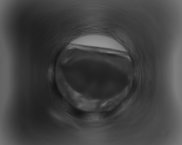 X0000100340127200806191032