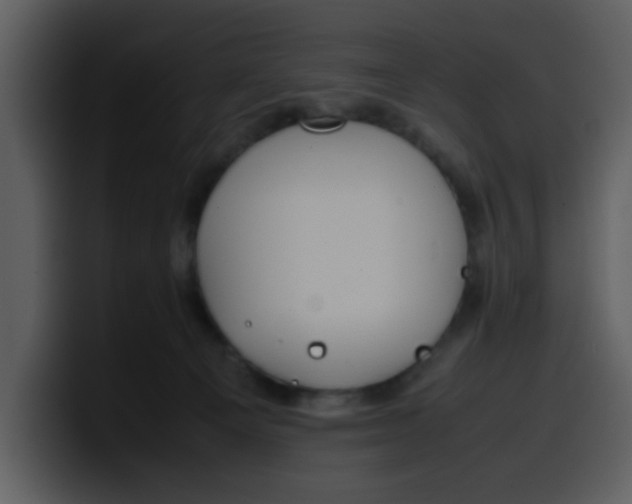 X0000100340129200806191032