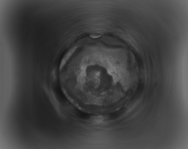 X0000100340131200806191032