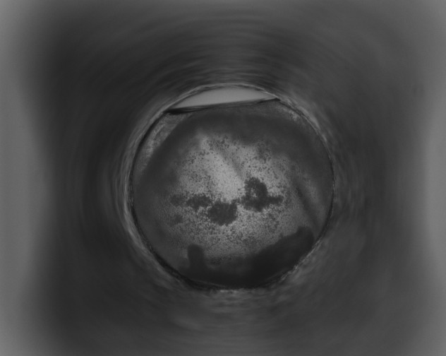 X0000100340145200806191031