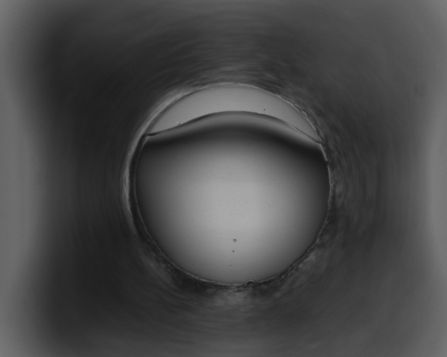 X0000100340148200806191031