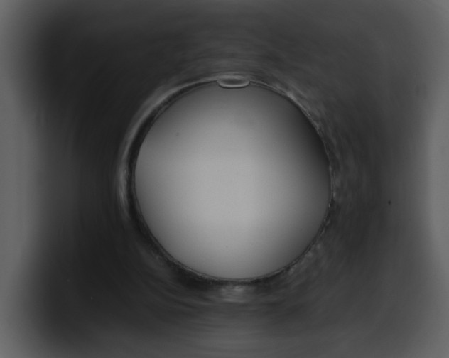 X0000100340152200806191031